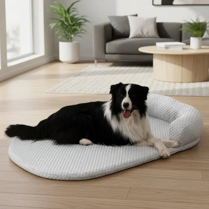 Image of Dog Orthopedic Lounger Pet Bed