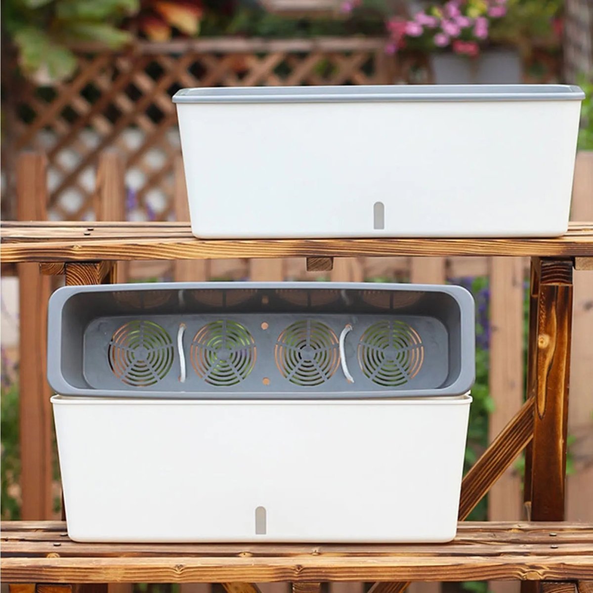 Image of Women's Self-Watering Planter