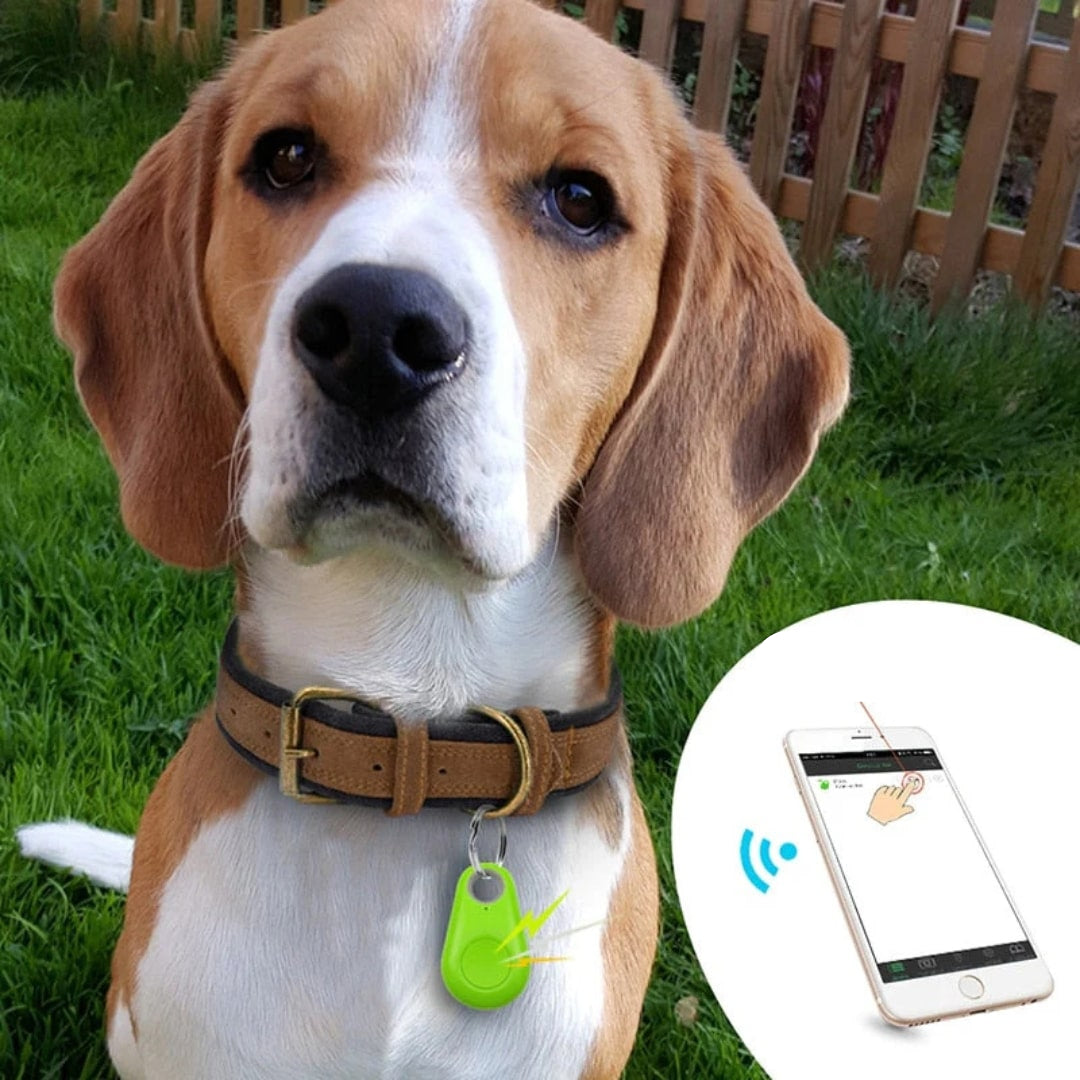 Image of Bluetooth Key Finder Pet Tracker
