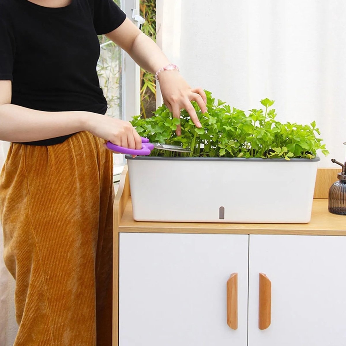 Image of Women's Self-Watering Planter