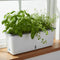 Self-Watering Planter